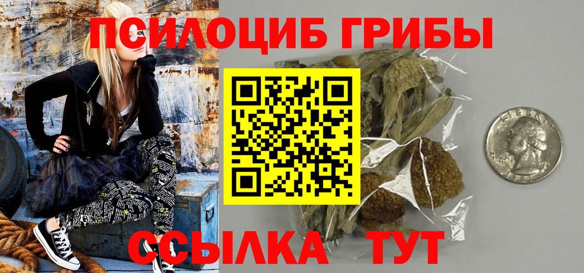 Галлюциногенные грибы мухоморы Волгоград