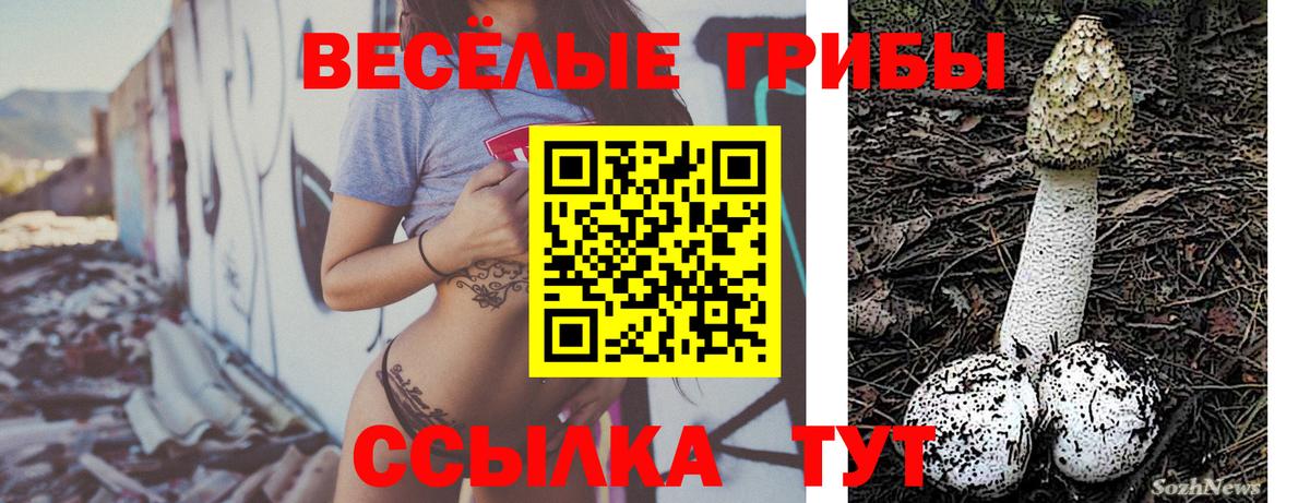 Галлюциногенные грибы мухоморы  Галлюциногенные грибы мухоморы  Волгоград  даркнет сайт  Вход с VPN 